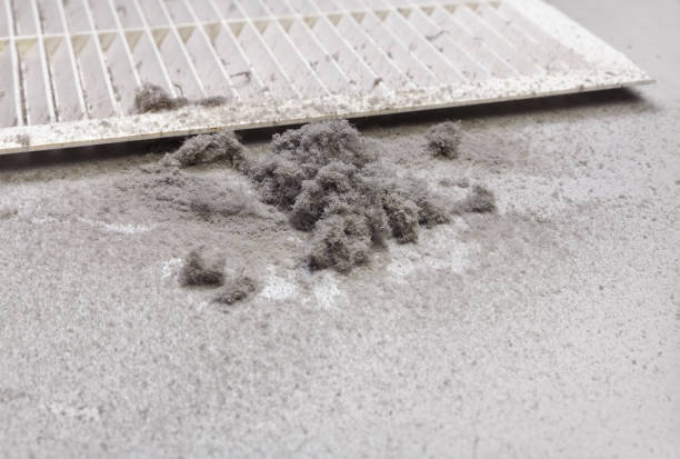 Best Ductwork Cleaning Services  in Honaunau Napoopoo, HI