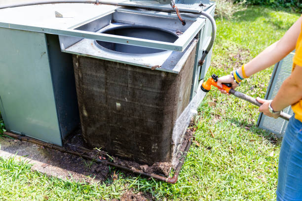 Best Home Air Vent Cleaning  in Honaunau Napoopoo, HI