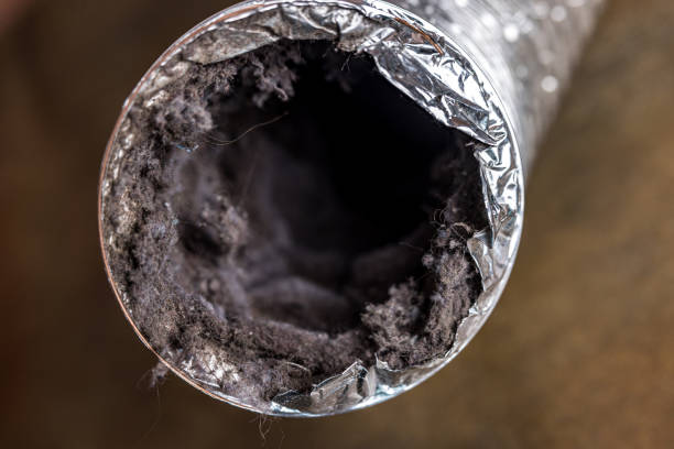 Best HVAC Duct Inspection Services  in Honaunau Napoopoo, HI