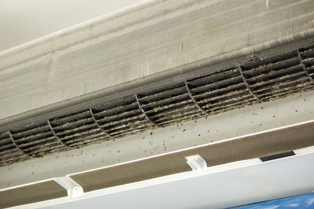  Honaunau Napoopoo, HI Airduct Cleaning Pros